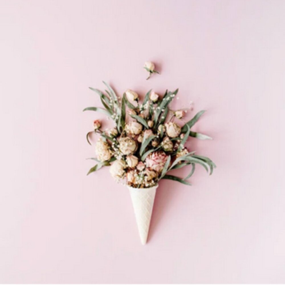 Meet your Posher, Mary